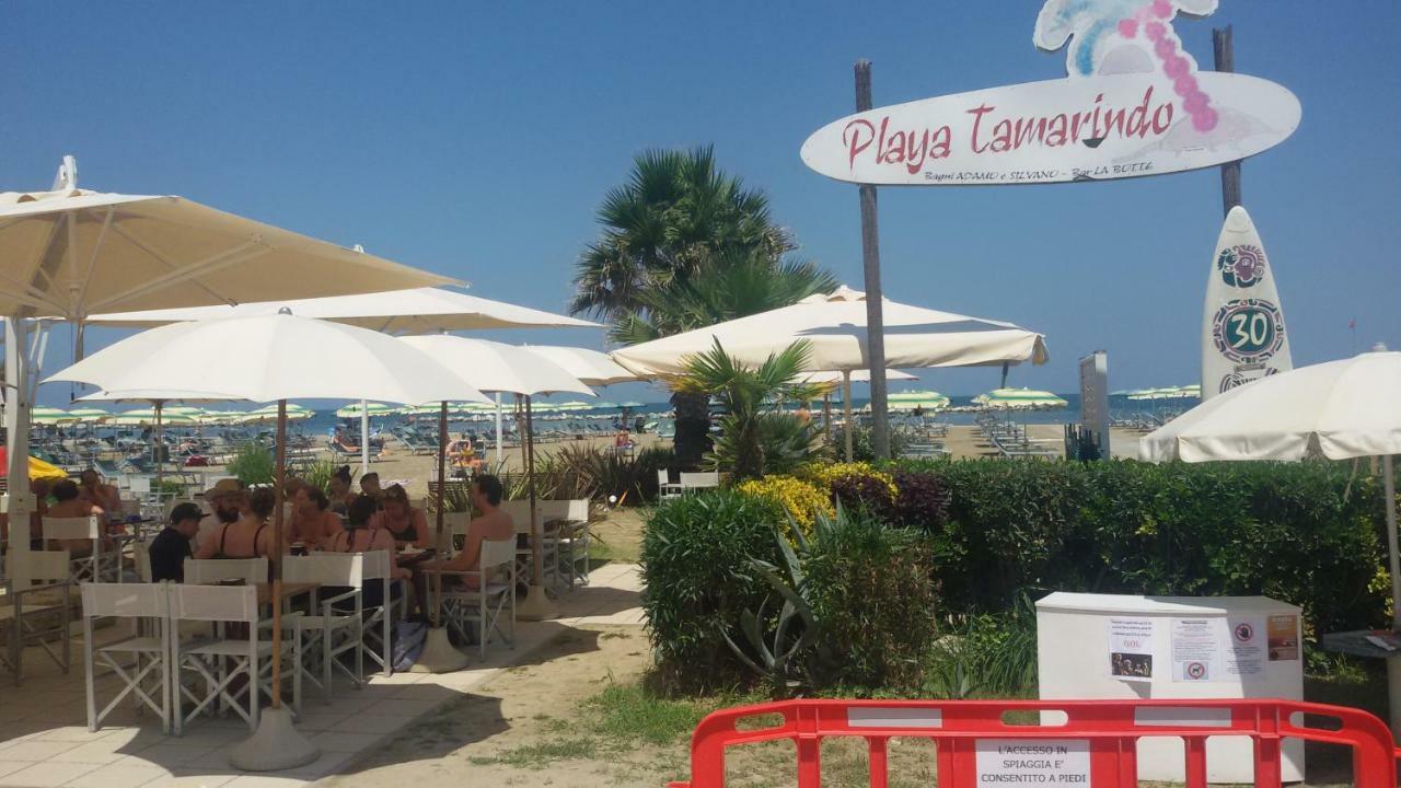 Domus Maris Viserba, Spiagge E Centro A 100 Mt, Promo Maggio Fiera Macfrut, Fieravicola, Expo Dental, Meeting 里米尼 外观 照片